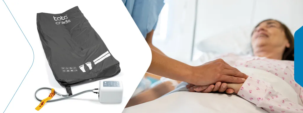 New Generation Toto Cradle Launched.